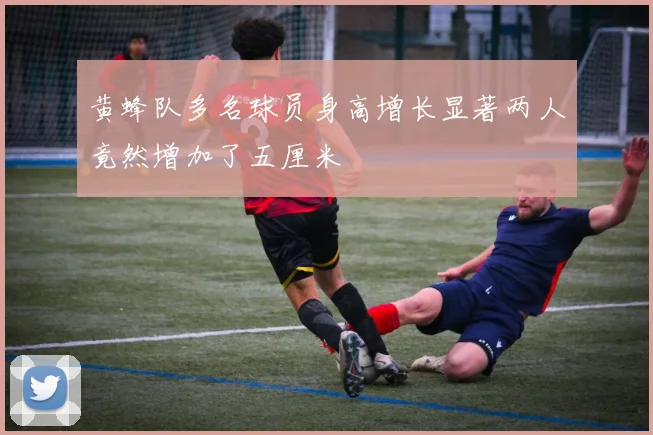 黄蜂队多名球员身高增长显著两人竟然增加了五厘米