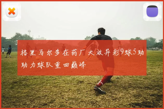 格里马尔多在药厂大放异彩9球5助助力球队重回巅峰