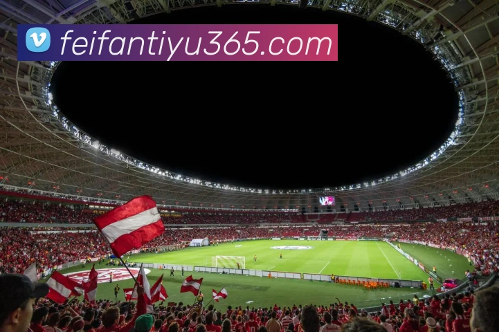 非凡体育APP 封面图